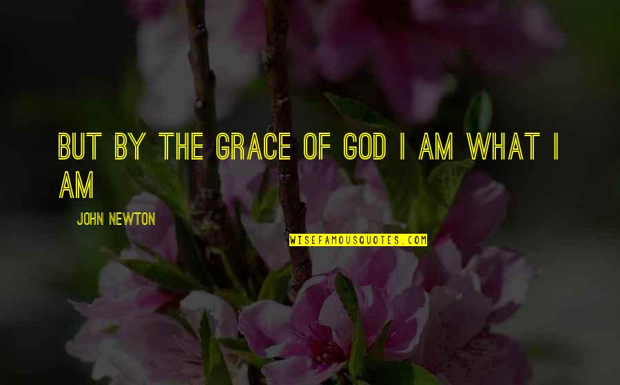 Precognitate Quotes By John Newton: But by the grace of God I am