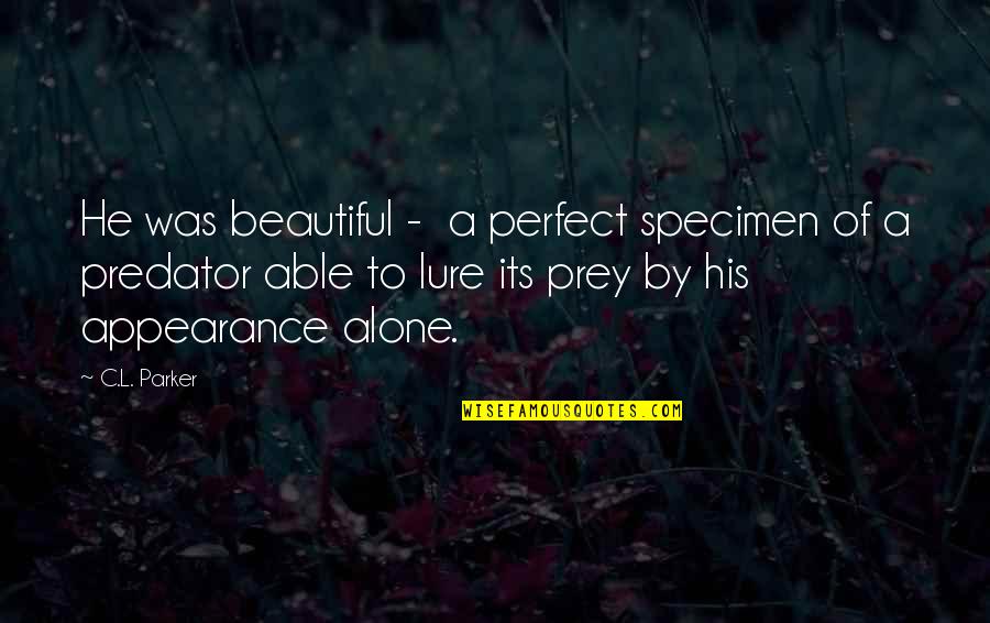 Predator And Prey Quotes By C.L. Parker: He was beautiful - a perfect specimen of Predator And Prey Quotes By C.L. Parker: He was beautiful - a perfect specimen of
