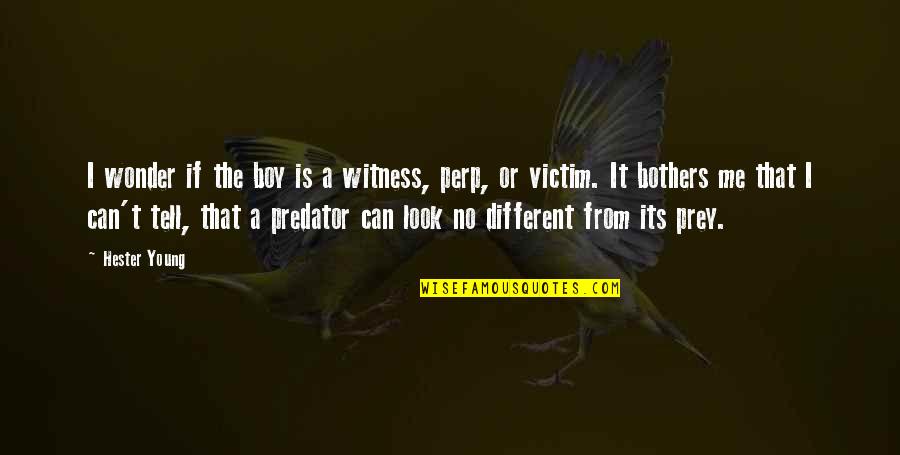 Predator And Prey Quotes By Hester Young: I wonder if the boy is a witness,