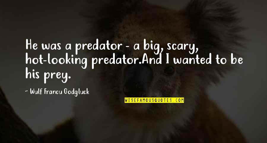Predator And Prey Quotes By Wulf Francu Godgluck: He was a predator - a big, scary,