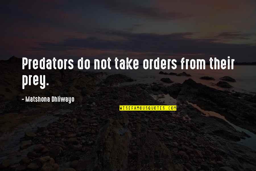 Predator Quotes By Matshona Dhliwayo: Predators do not take orders from their prey.