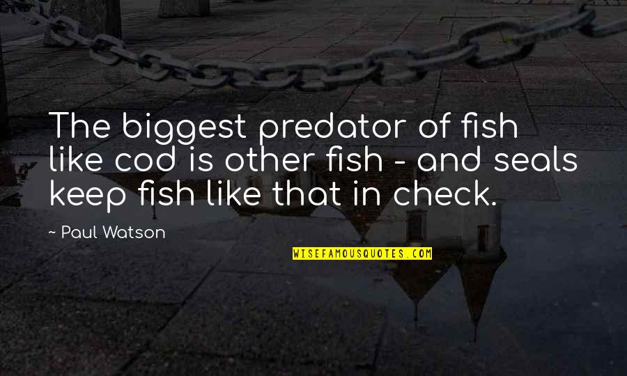 Predator Quotes By Paul Watson: The biggest predator of fish like cod is