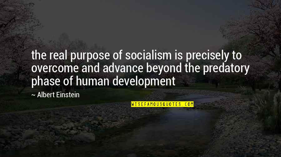 Predatory Quotes By Albert Einstein: the real purpose of socialism is precisely to