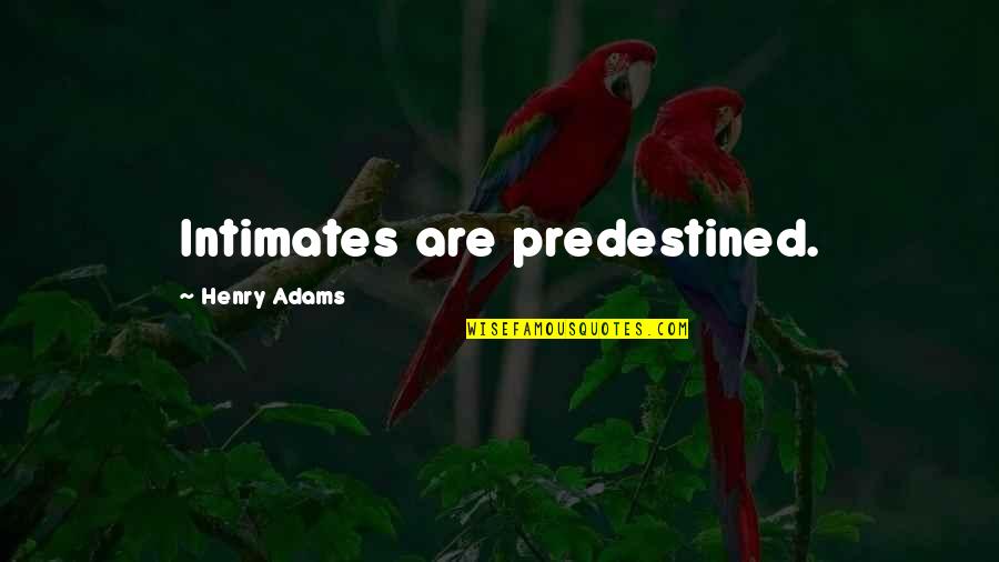 Predestined Quotes By Henry Adams: Intimates are predestined.