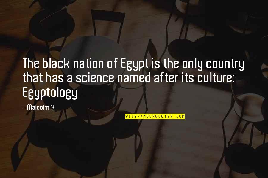 Predicable Quotes By Malcolm X: The black nation of Egypt is the only