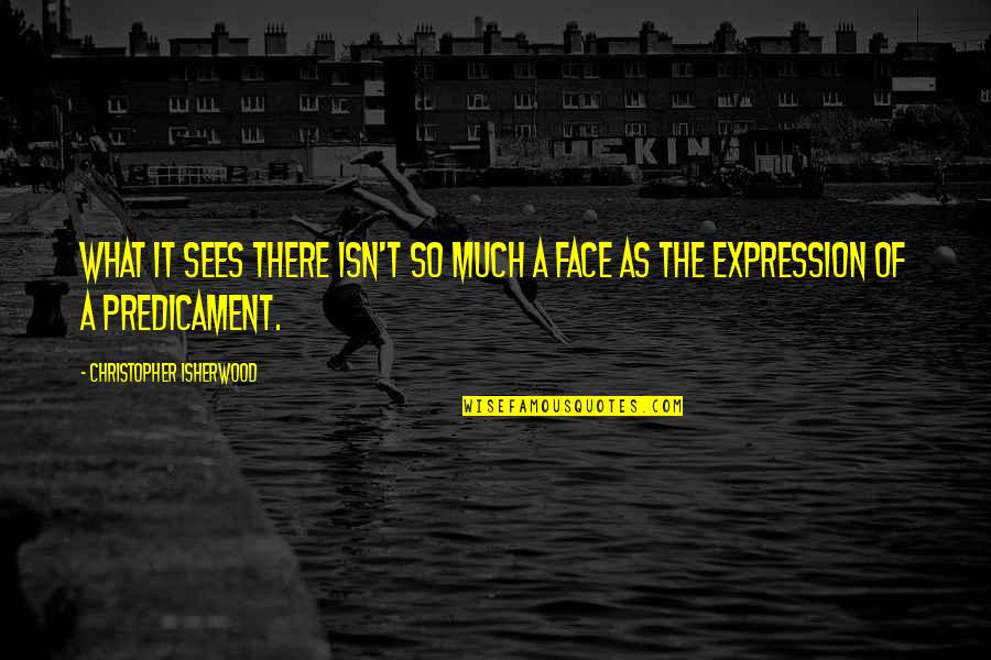 Predicament Quotes By Christopher Isherwood: What it sees there isn't so much a