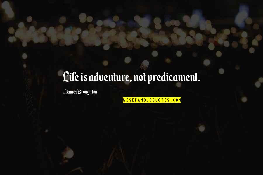 Predicament Quotes By James Broughton: Life is adventure, not predicament.