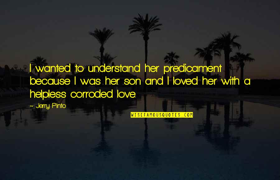 Predicament Quotes By Jerry Pinto: I wanted to understand her predicament because I