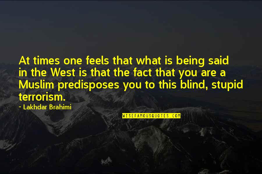 Predisposes Quotes By Lakhdar Brahimi: At times one feels that what is being