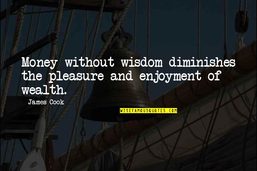 Predisposing Factor Quotes By James Cook: Money without wisdom diminishes the pleasure and enjoyment