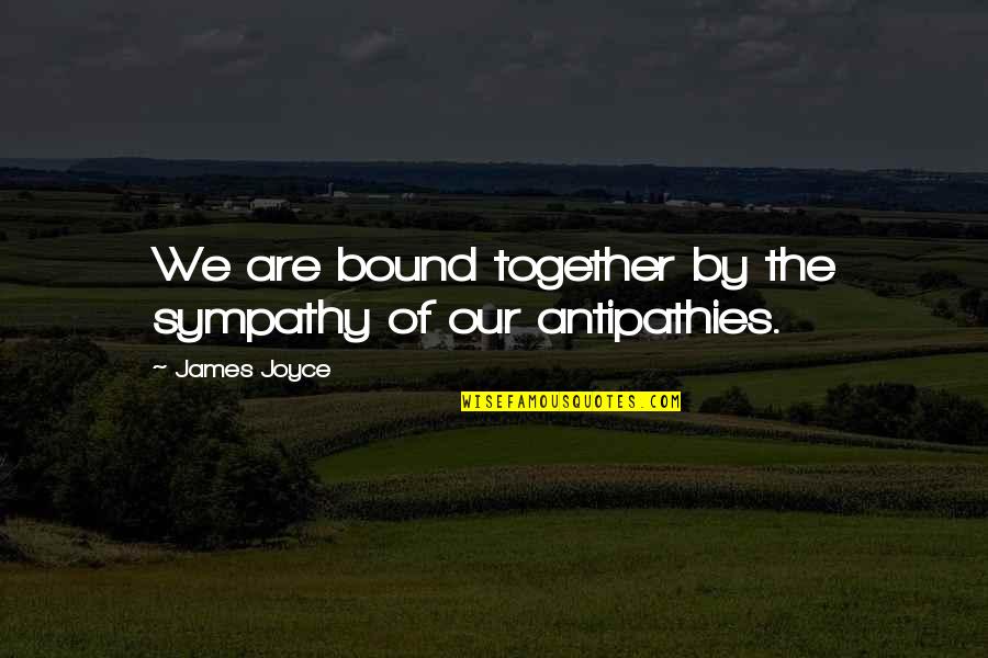 Preening Quotes By James Joyce: We are bound together by the sympathy of