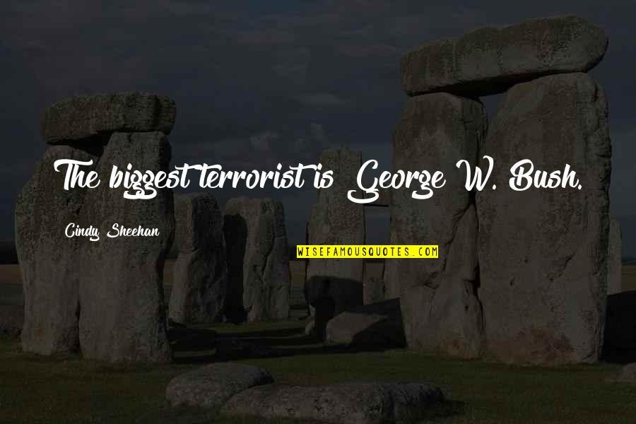 Preferans Download Quotes By Cindy Sheehan: The biggest terrorist is George W. Bush. Preferans Download Quotes By Cindy Sheehan: The biggest terrorist is George W. Bush.