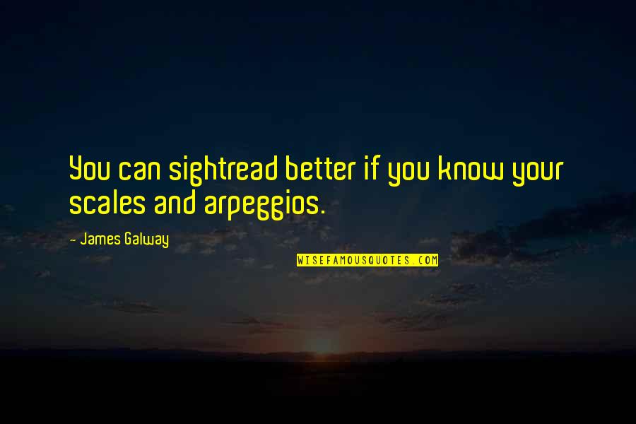 Preferisco Pizza Quotes By James Galway: You can sightread better if you know your