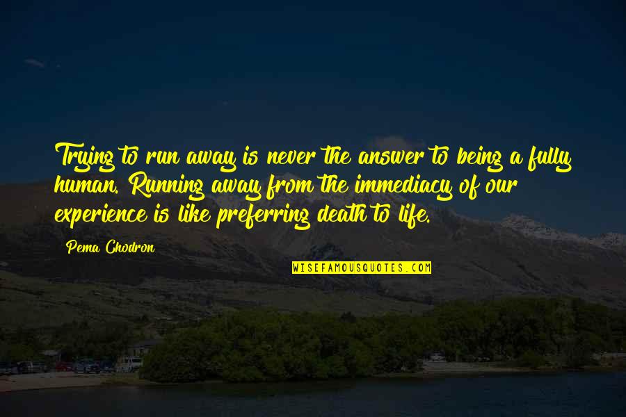 Preferring Quotes By Pema Chodron: Trying to run away is never the answer