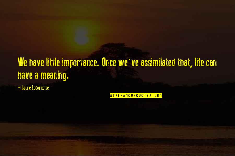 Prefigures Quotes By Laure Lacornette: We have little importance. Once we've assimilated that,