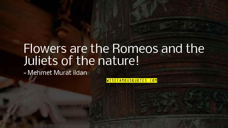 Prefiro Viajar Quotes By Mehmet Murat Ildan: Flowers are the Romeos and the Juliets of