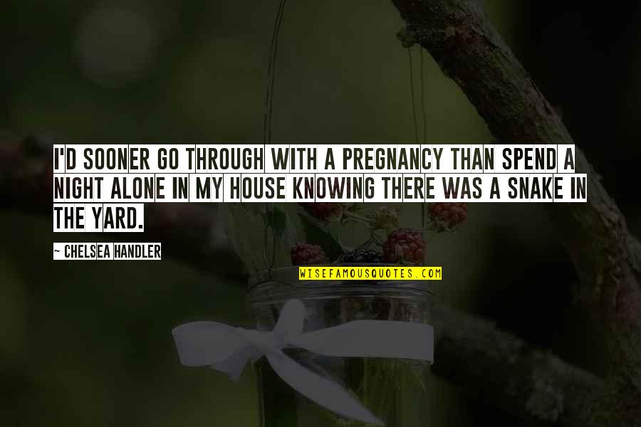 Pregnancy Alone Quotes By Chelsea Handler: I'd sooner go through with a pregnancy than