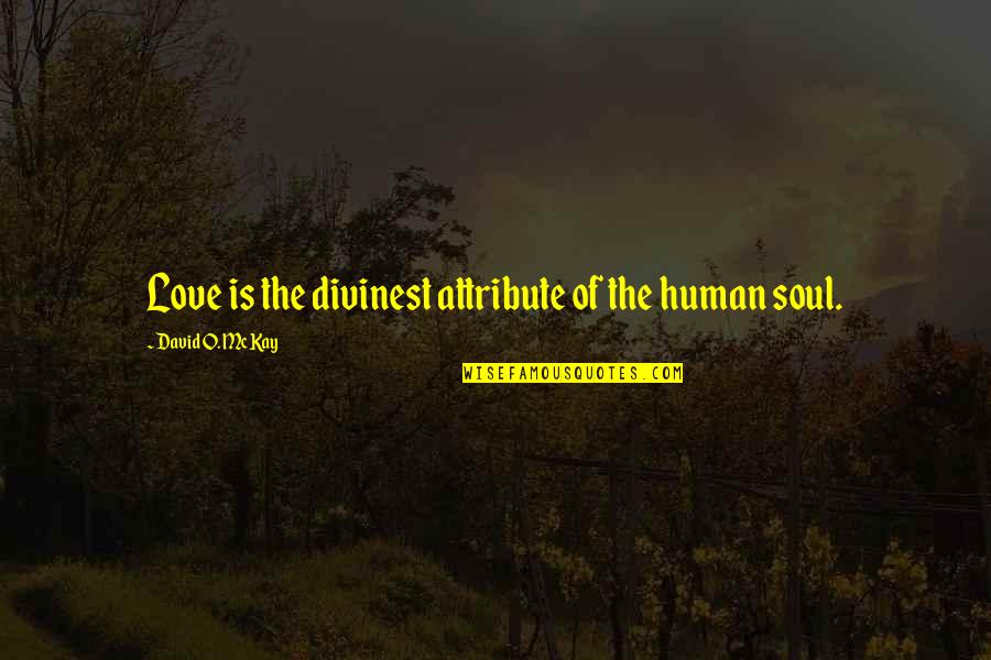 Preguntes Frequents Quotes By David O. McKay: Love is the divinest attribute of the human Preguntes Frequents Quotes By David O. McKay: Love is the divinest attribute of the human