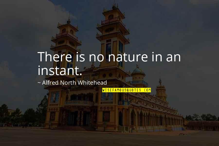 Pregunto Quotes By Alfred North Whitehead: There is no nature in an instant.