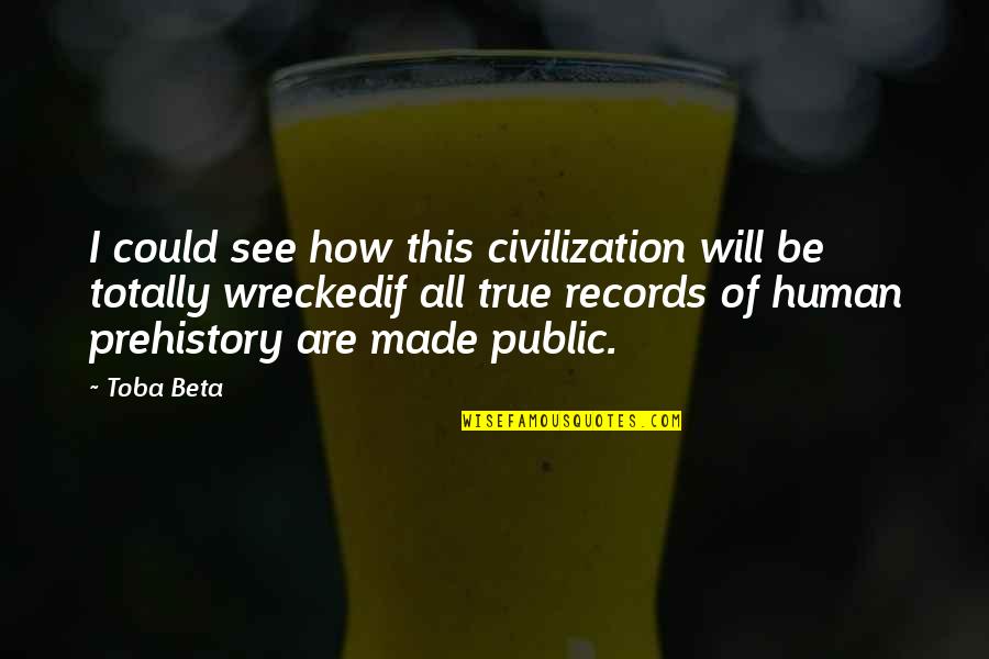 Prehistory Quotes By Toba Beta: I could see how this civilization will be
