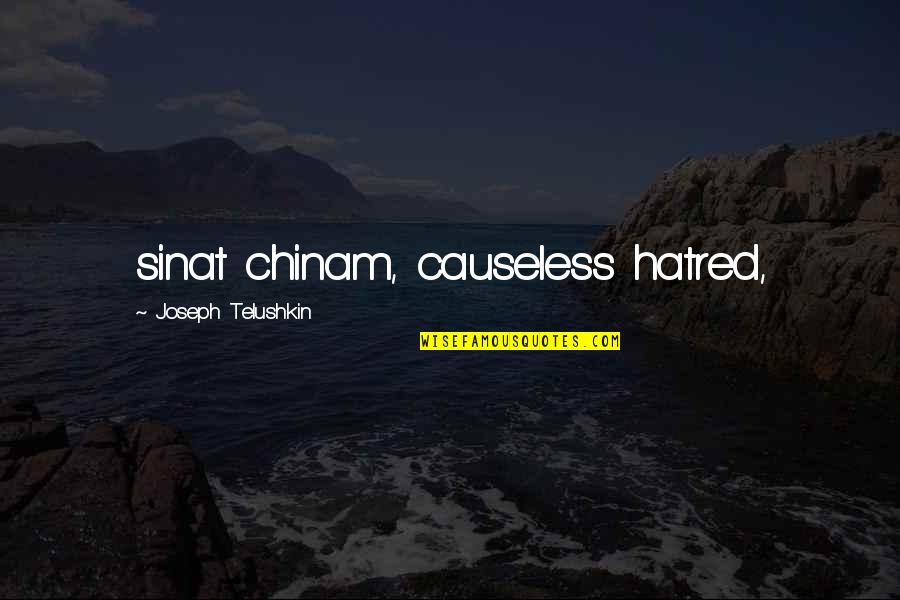 Prehumans Quotes By Joseph Telushkin: sinat chinam, causeless hatred,