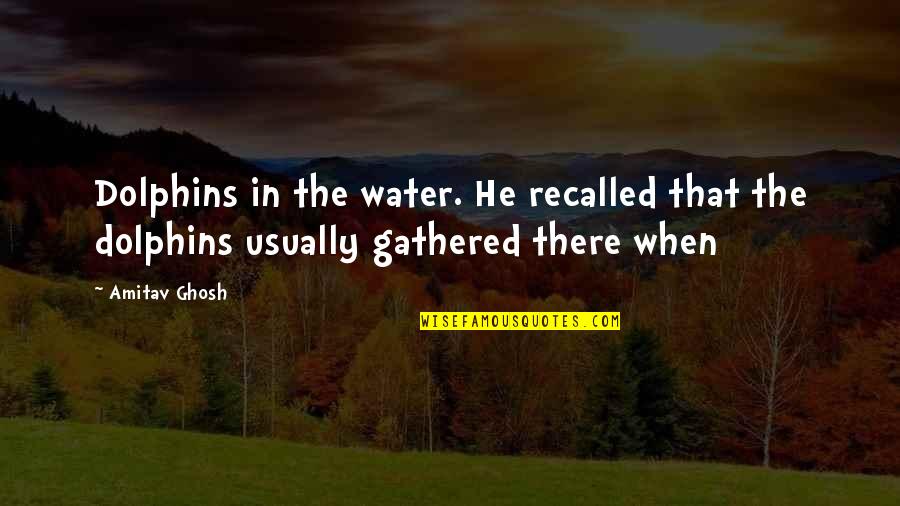 Prem Baba Quotes By Amitav Ghosh: Dolphins in the water. He recalled that the