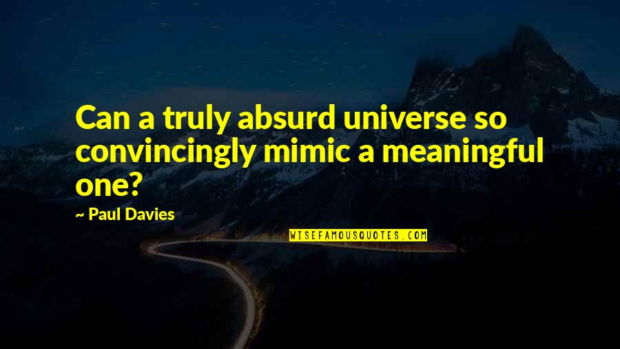 Premaloka Quotes By Paul Davies: Can a truly absurd universe so convincingly mimic