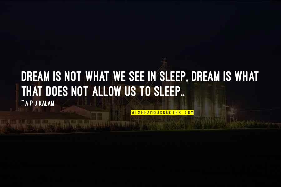 Premila Shah Quotes By A P J Kalam: Dream is not what we see in sleep,