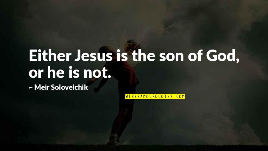 Prenons Soin Quotes By Meir Soloveichik: Either Jesus is the son of God, or