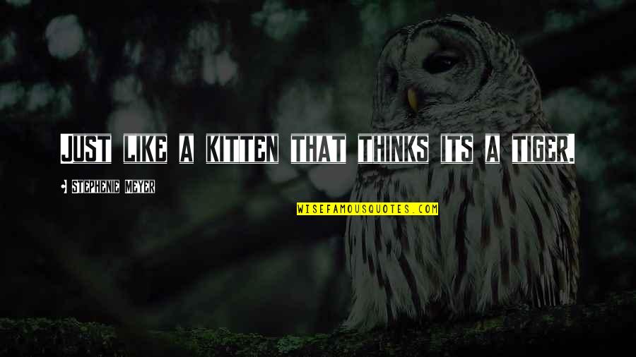 Preobratiti Quotes By Stephenie Meyer: Just like a kitten that thinks its a Preobratiti Quotes By Stephenie Meyer: Just like a kitten that thinks its a