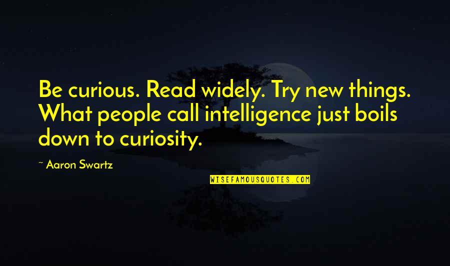 Preocupan In English Quotes By Aaron Swartz: Be curious. Read widely. Try new things. What