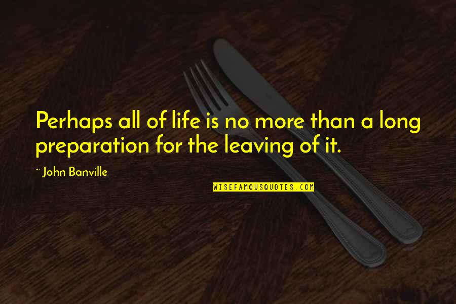 Preparation In Life Quotes By John Banville: Perhaps all of life is no more than
