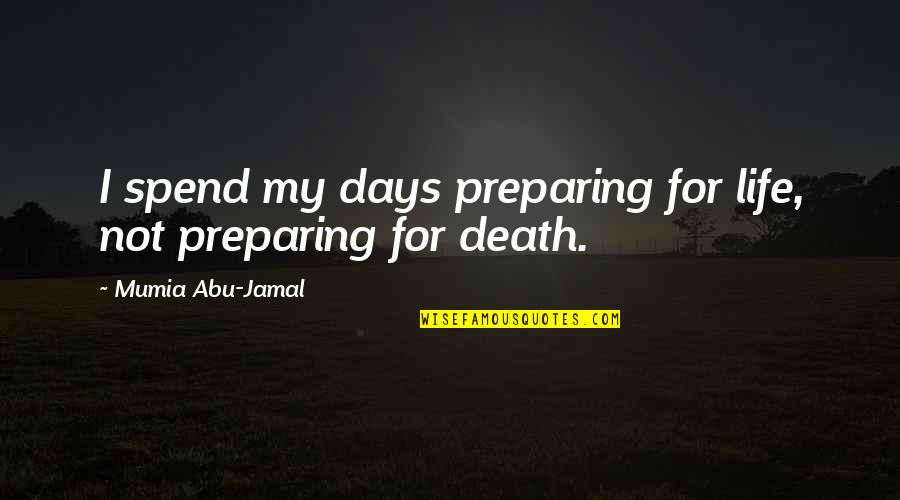 Preparing For Death Quotes By Mumia Abu-Jamal: I spend my days preparing for life, not