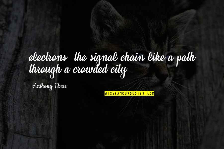 Preplan Quotes By Anthony Doerr: electrons, the signal chain like a path through Preplan Quotes By Anthony Doerr: electrons, the signal chain like a path through