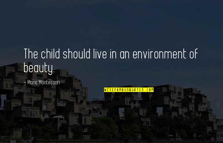 Preprinted Whole Cloth Quotes By Maria Montessori: The child should live in an environment of Preprinted Whole Cloth Quotes By Maria Montessori: The child should live in an environment of