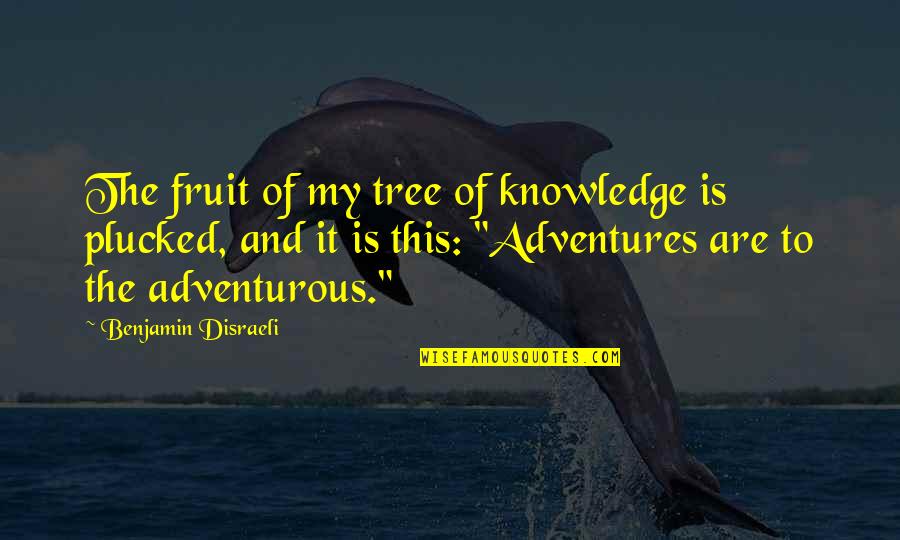 Preread Quotes By Benjamin Disraeli: The fruit of my tree of knowledge is