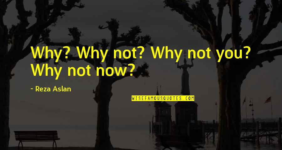 Presagiando Quotes By Reza Aslan: Why? Why not? Why not you? Why not Presagiando Quotes By Reza Aslan: Why? Why not? Why not you? Why not