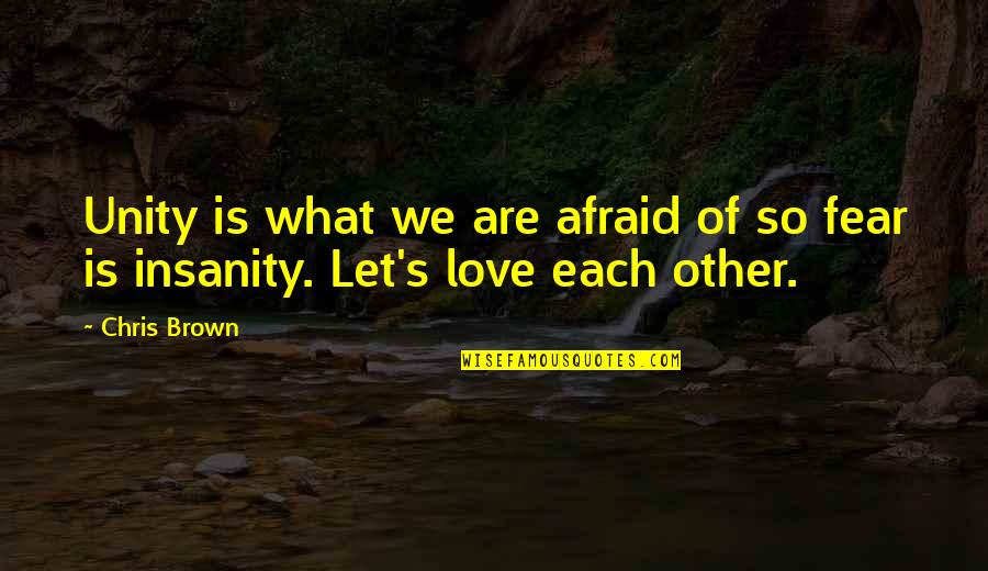 Prescinding Synonyms Quotes By Chris Brown: Unity is what we are afraid of so