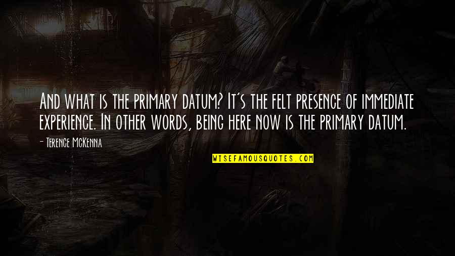Presence Felt Quotes By Terence McKenna: And what is the primary datum? It's the