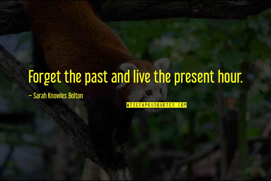 Present And Past Quotes By Sarah Knowles Bolton: Forget the past and live the present hour.