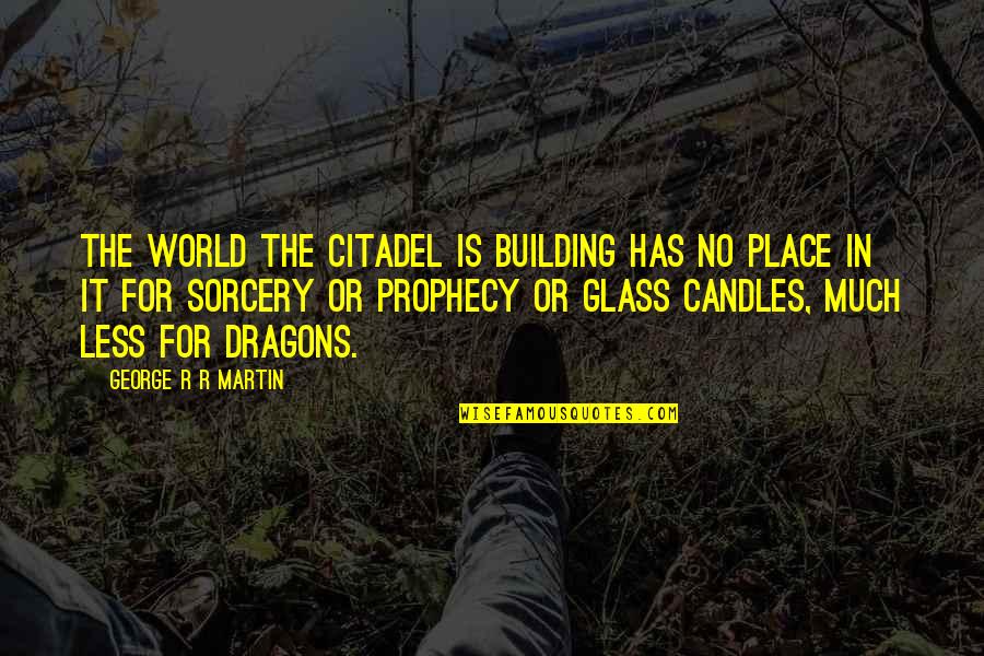 Present For Daddy Quotes By George R R Martin: The world the Citadel is building has no