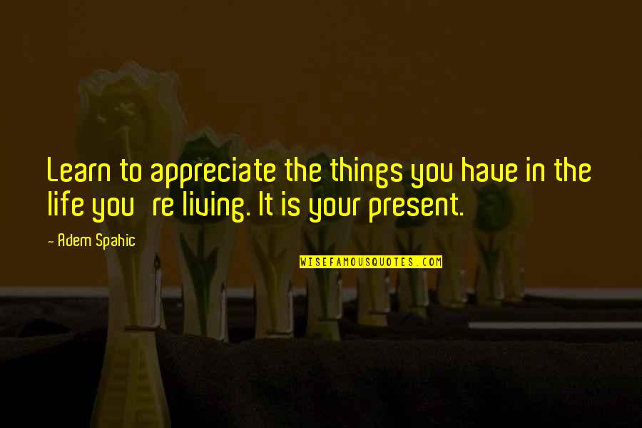 Present Life Quotes By Adem Spahic: Learn to appreciate the things you have in