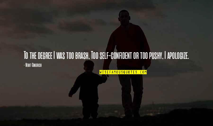 Presentations Motivational Quotes By Newt Gingrich: To the degree I was too brash, Too