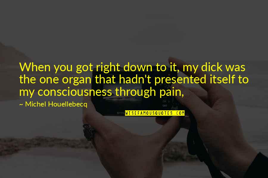 Presented Quotes By Michel Houellebecq: When you got right down to it, my