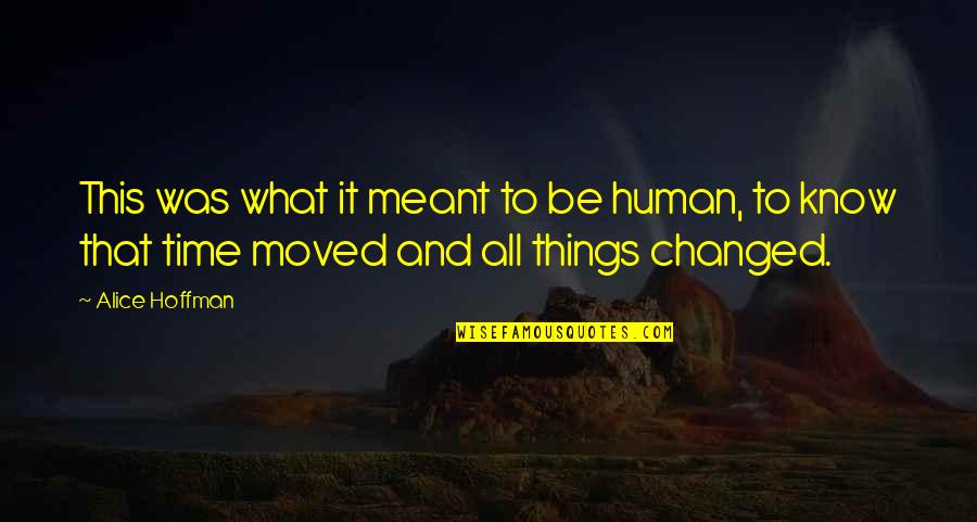 Presentment Quotes By Alice Hoffman: This was what it meant to be human,