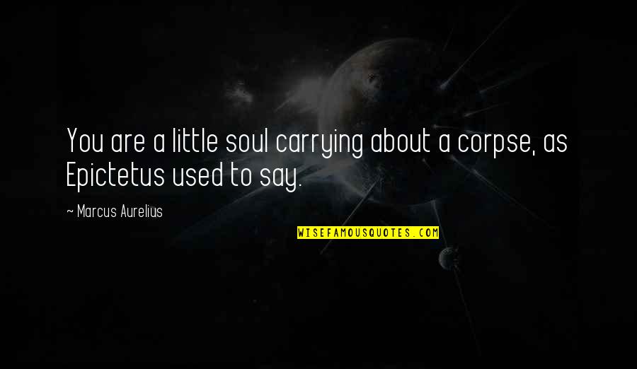 Preservasion Quotes By Marcus Aurelius: You are a little soul carrying about a
