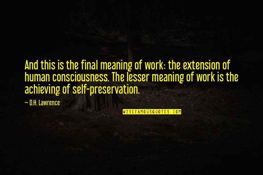 Preservation Quotes By D.H. Lawrence: And this is the final meaning of work: