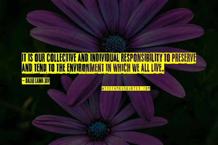 Preserve Environment Quotes By Dalai Lama XIV: It is our collective and individual responsibility to