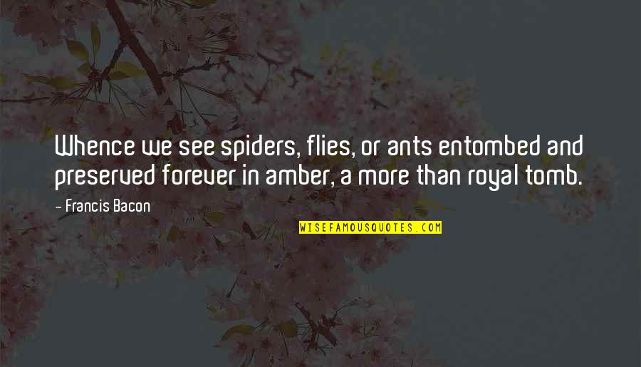 Preserved Quotes By Francis Bacon: Whence we see spiders, flies, or ants entombed Preserved Quotes By Francis Bacon: Whence we see spiders, flies, or ants entombed