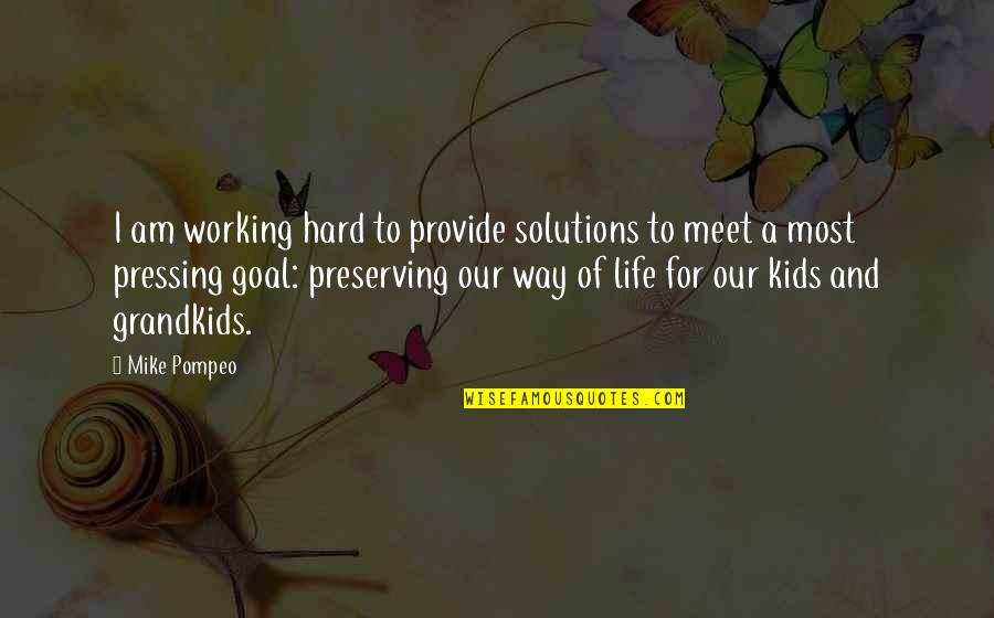 Preserving Life Quotes By Mike Pompeo: I am working hard to provide solutions to